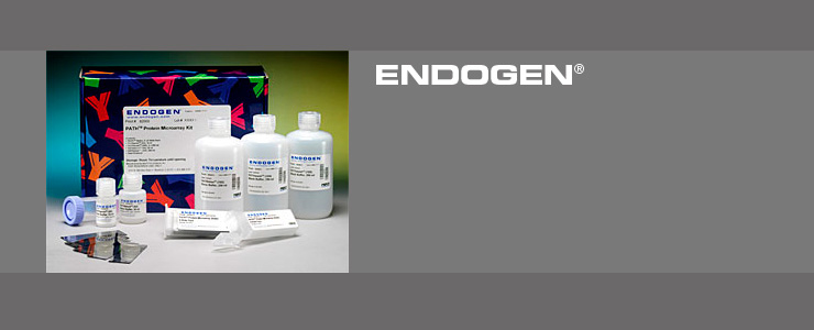 Endogen